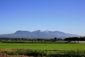 大自然広がる群馬県のおいしい緑茶(^^♪舟木亭